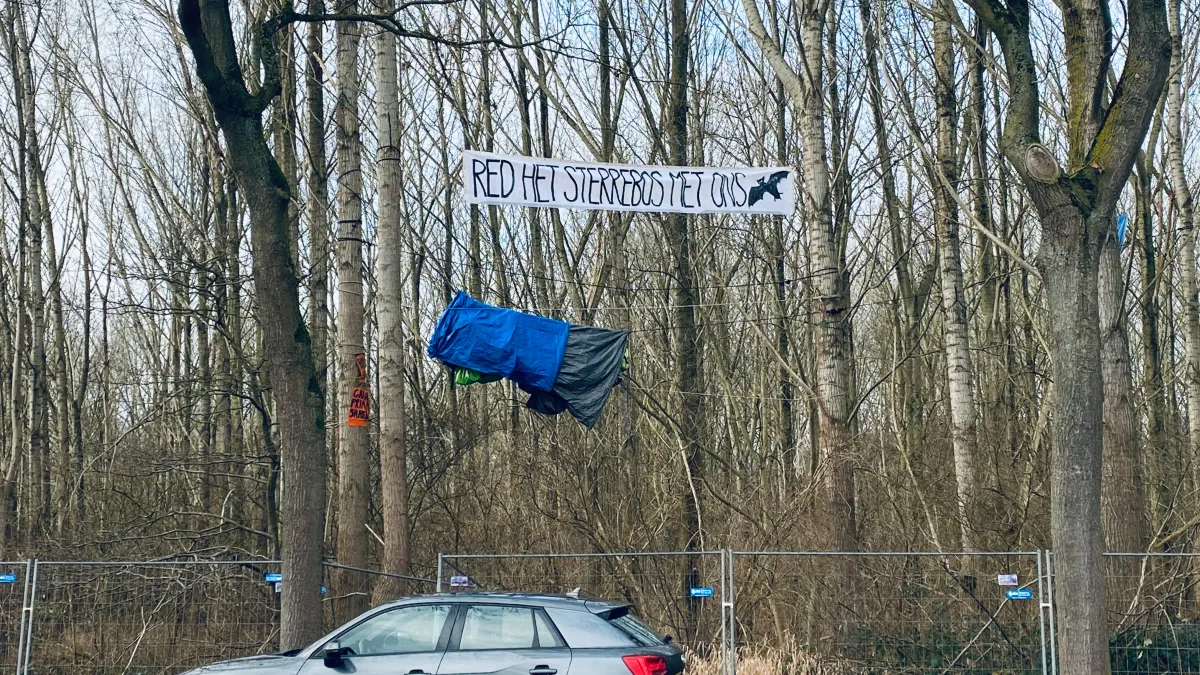 red het sterebos nog 2 actievoerders in de bomen
