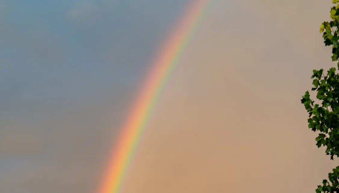 regenboog uitsnede ivo goessens 28 juli 2018