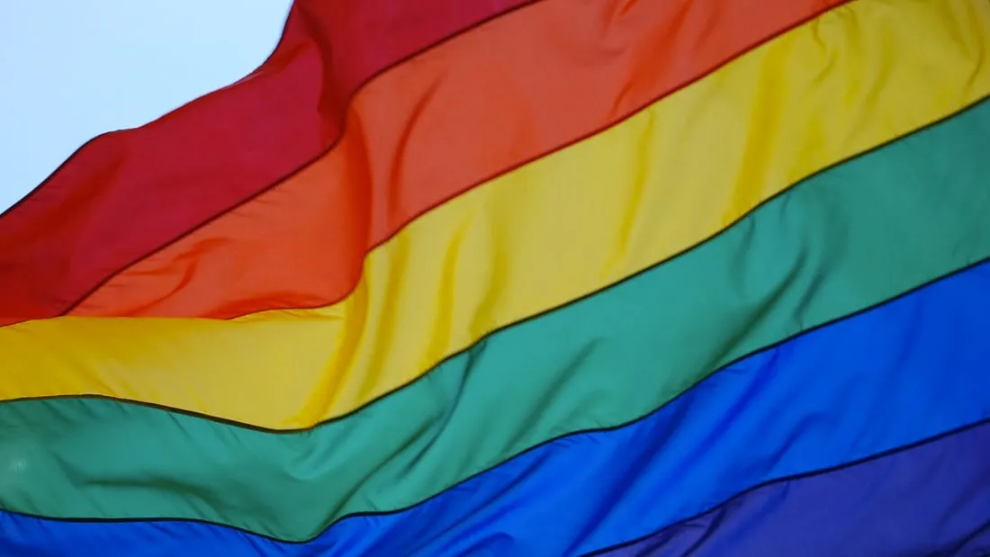 regenboogvlag coming out day lhbt kweetnie