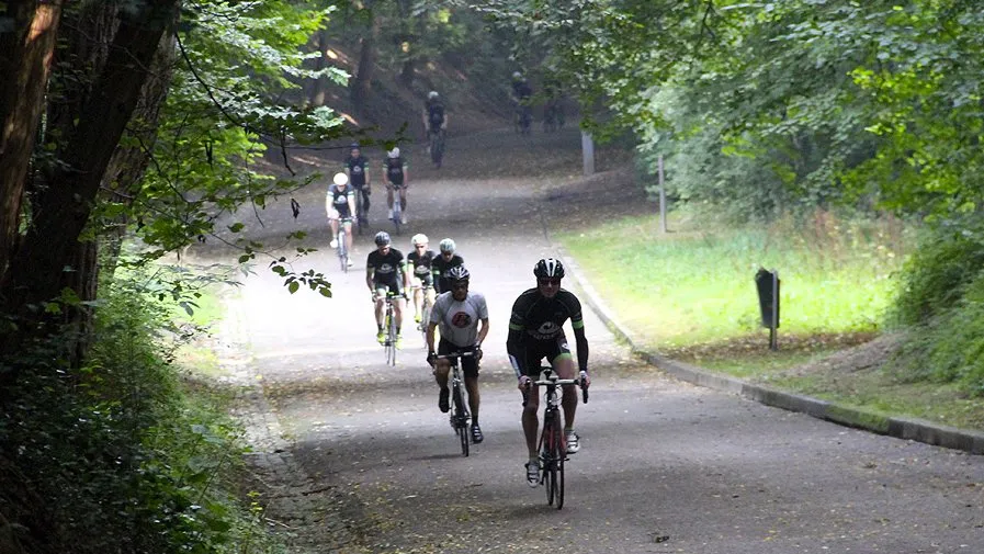 rit naar de gladiolen kollenberg