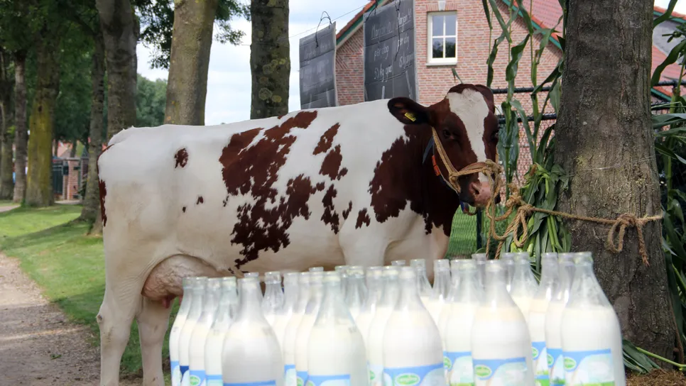 rmeduqdovsuuurritylxb7edm img7627