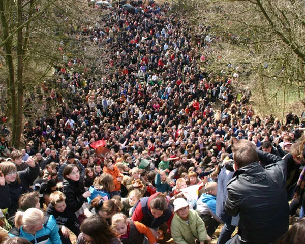 rnxkh0zism1lw6n2ryio0sj0k 215556