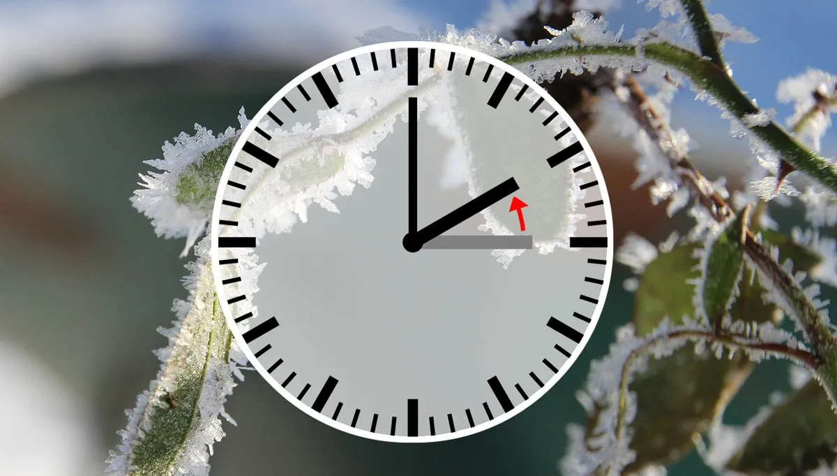 rose petals 1148644 1280 winter wintertijd