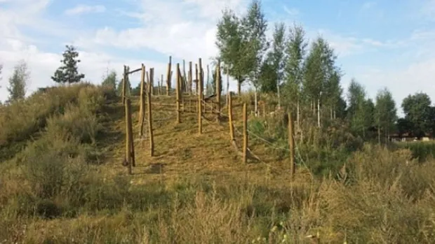 rt52mbai9is0c9mit3bjtnws4 natuurwerkdag