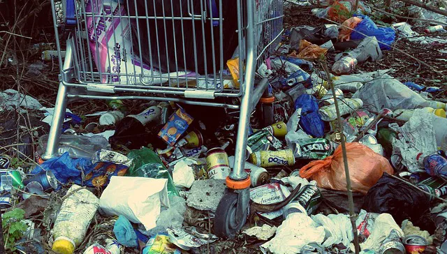 rubbish 495213 640 de tuin van de buren