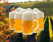 rx1hp7hudieimn4cr20b3d5h7 175671