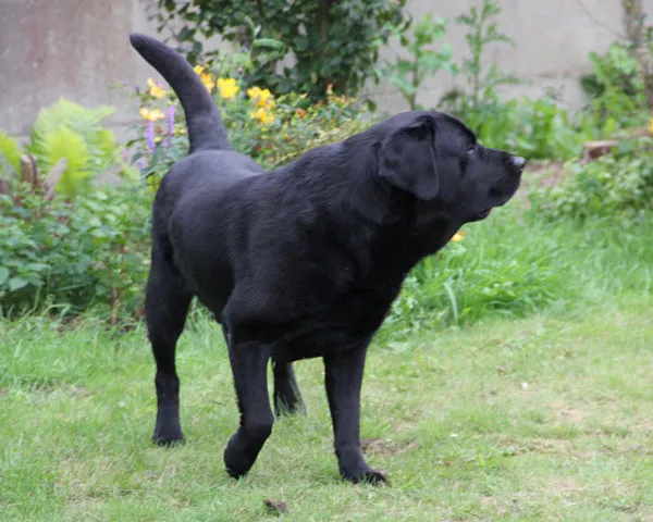 s9vr5pbl8hryry94wfocdtl6p 180361