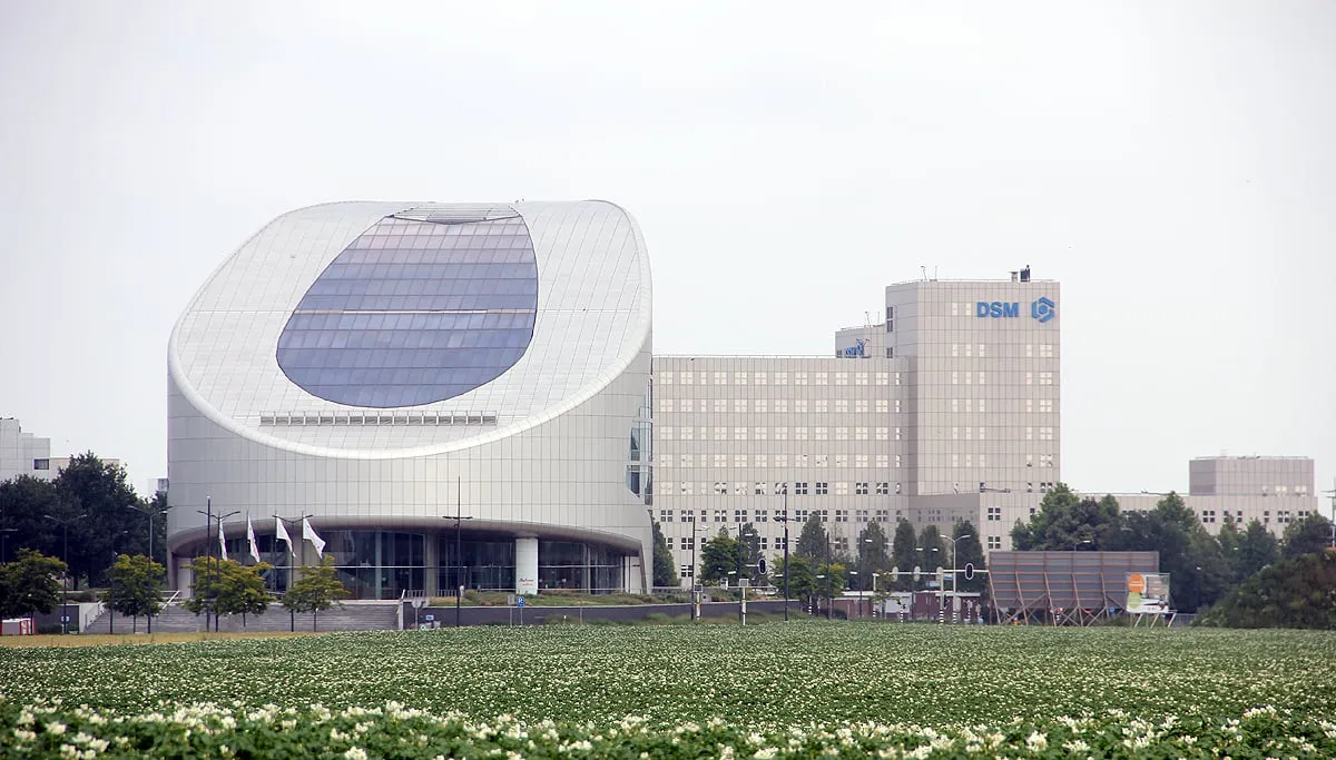 sabic dsm sittard