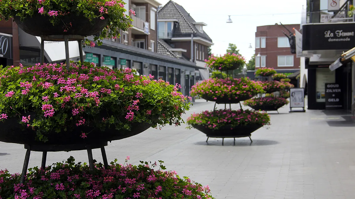 salmstraat geleen
