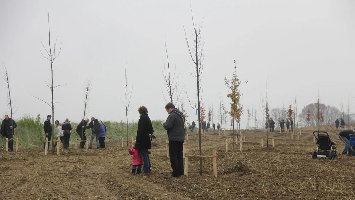 sbk kollenberg memoriebos boomplanten