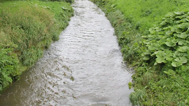 sc48uqlpw13t955mufr8gdyps beek park 16 9