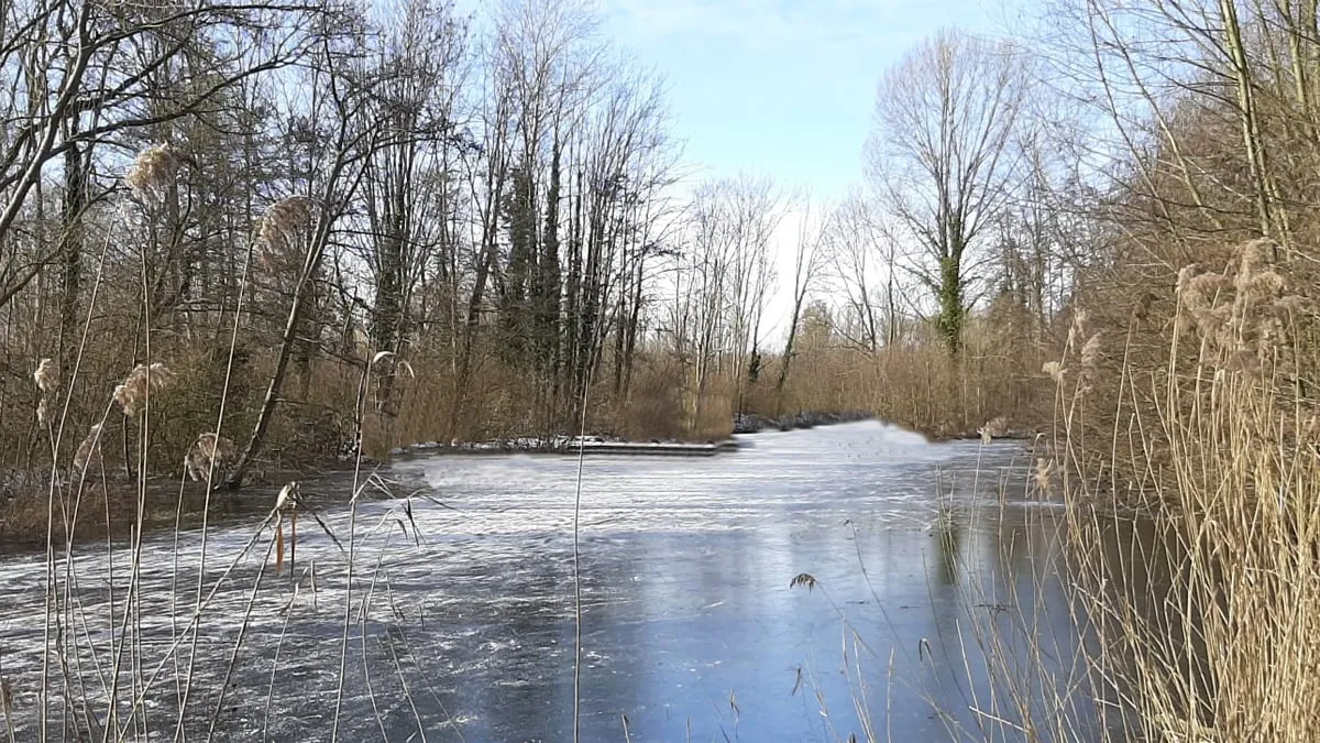 schaatsen schwienswei februari 2021 foto francois mostard 2