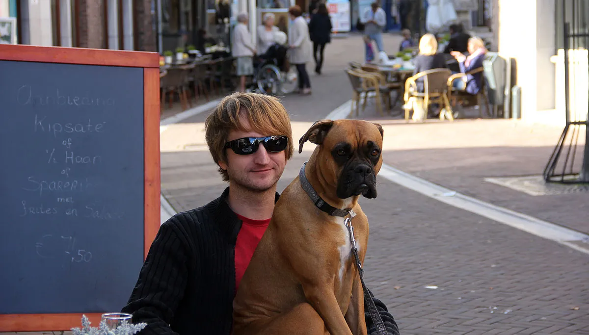 schoothond boxer op schoot