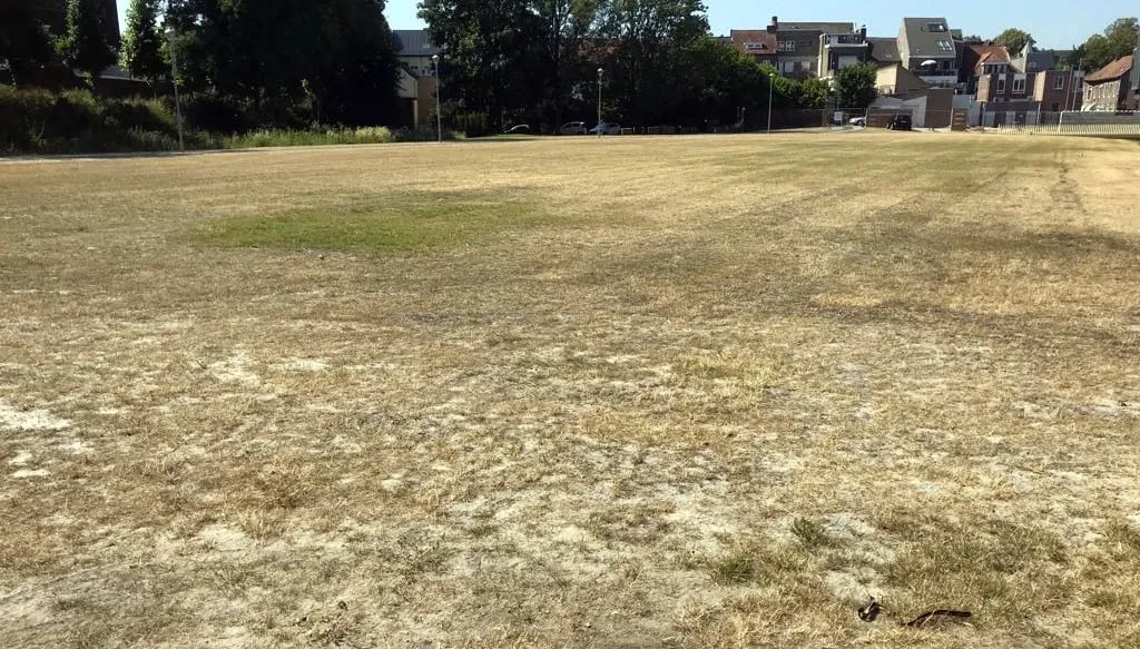 schootsvelden droog zonnig 2018