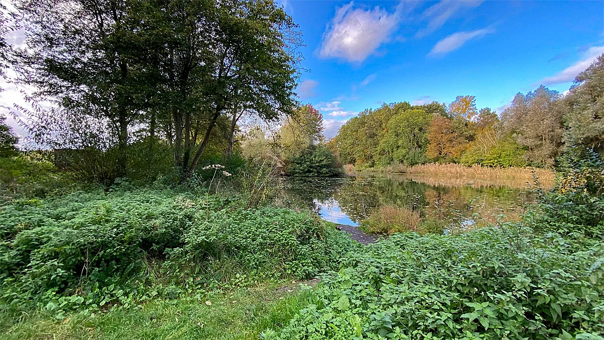 schwienswei herfst 2023