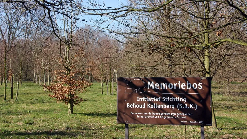 sfm2cwmks9nfi5ndhl2s54d30 memoriebos 16 9