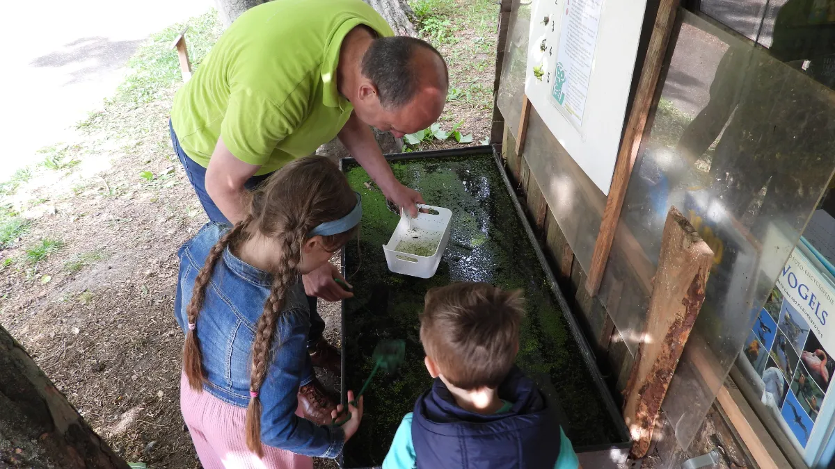 slootjesdag 2022 kasteelpark born