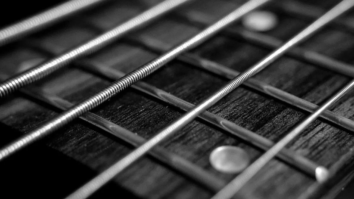 snaren basgitaar cc0 via pixabay
