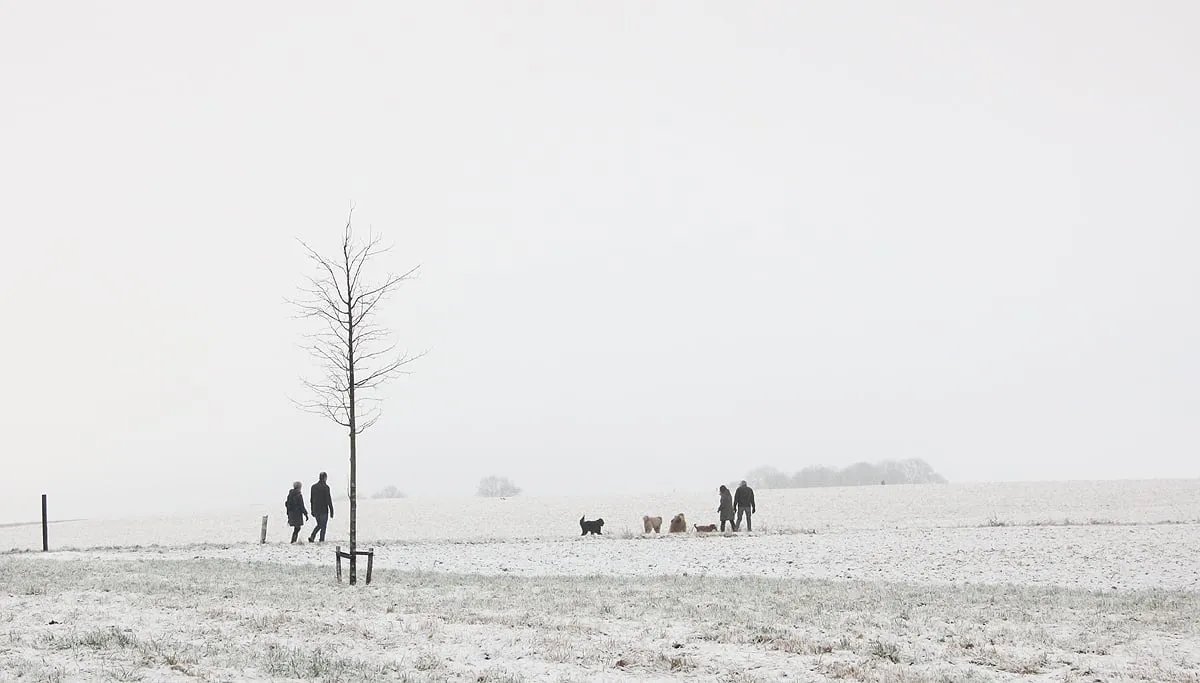 sneeuw op de kollenberg 2017
