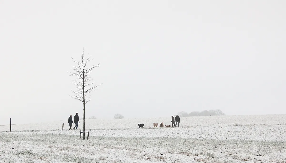 sneeuw op de kollenberg 2017