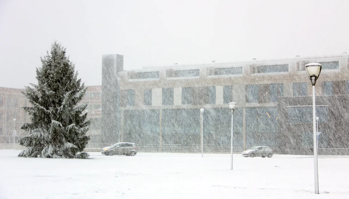 sneeuw op schootsvelden bij ligne