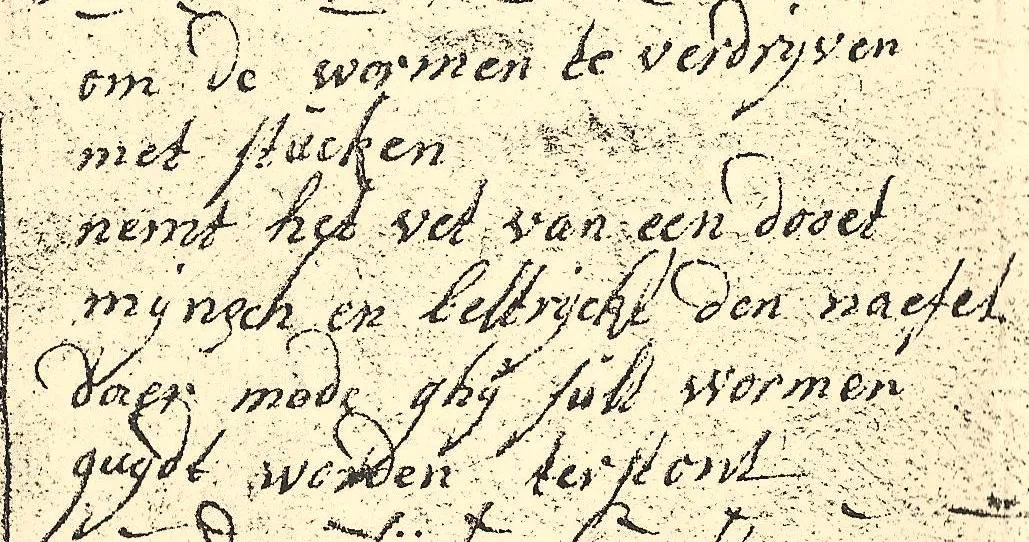 soleur website recepten wormen