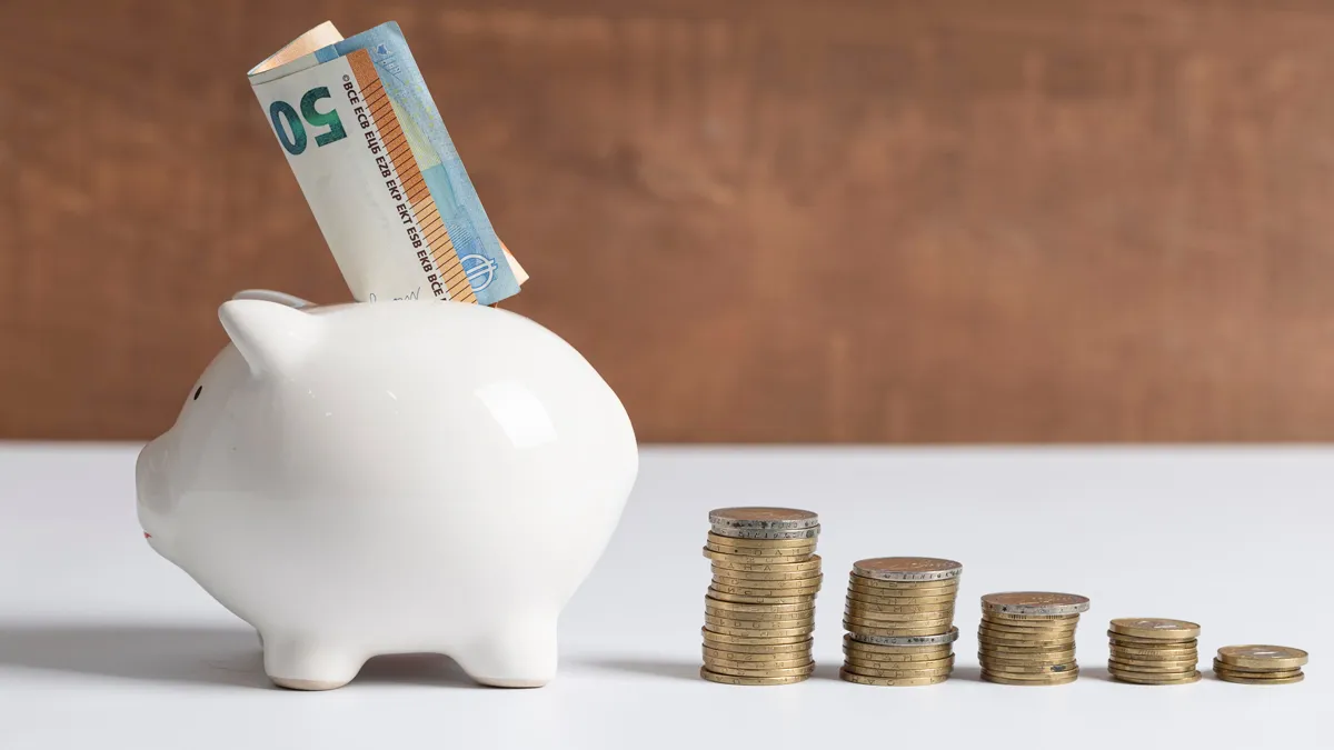 spaarvarken met munten en bankbiljetten