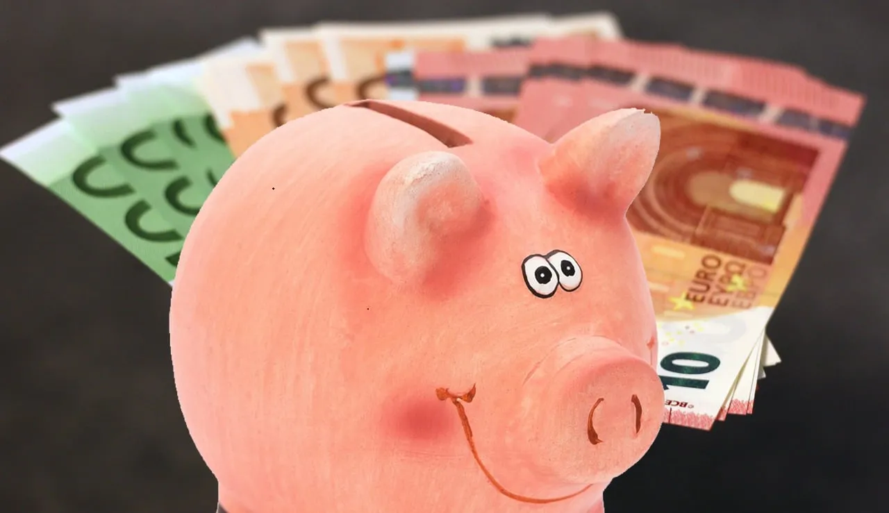 spaarvarken met waaier van eurobiljetten cc0 pixabay zwartsparen