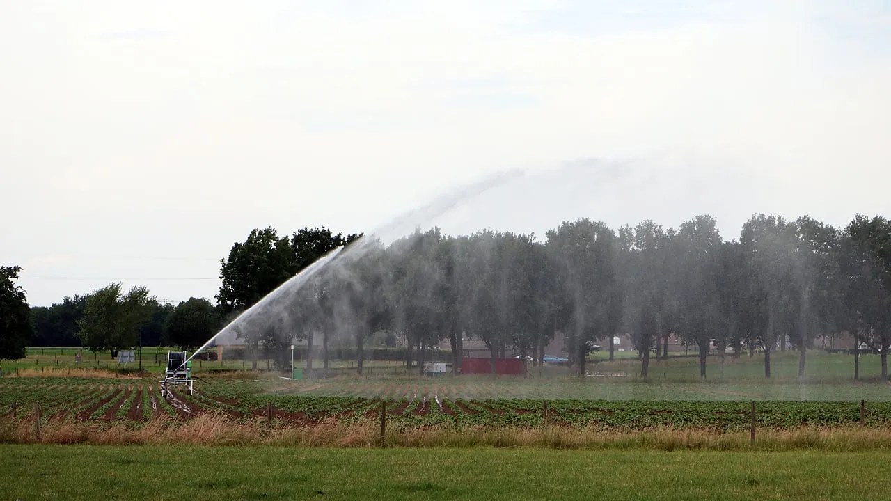 sproeien beregenen droogte akker