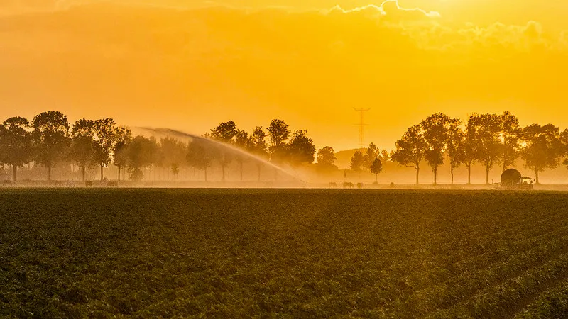 sproeien beregenen droogte