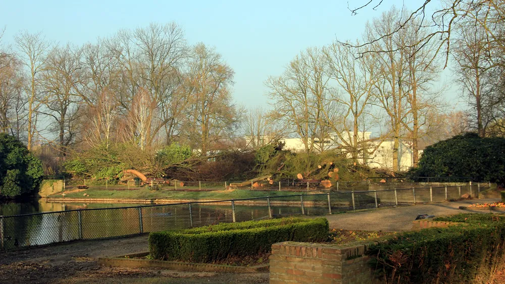 srtne8d05tuobg4w22h129c4y stadspark eendenvijver