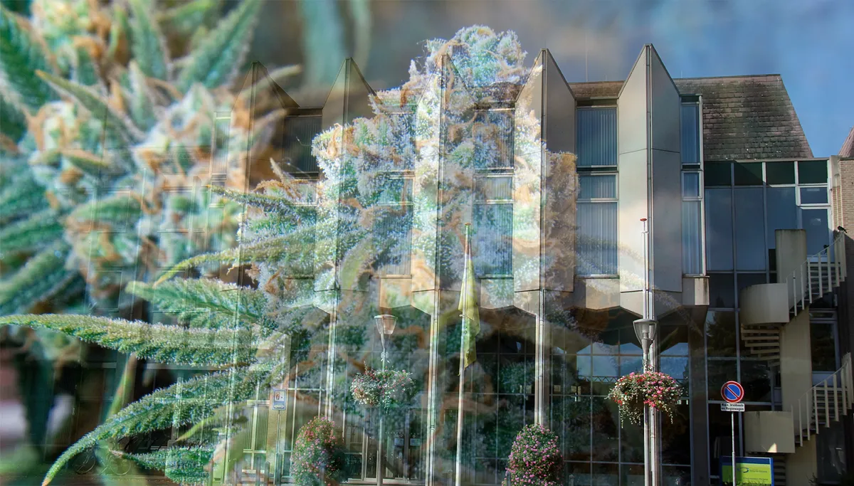 staatswiet gereguleerd experiment