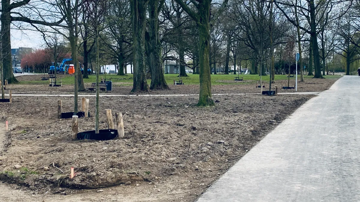 stadspark nieuwe aanplant 2