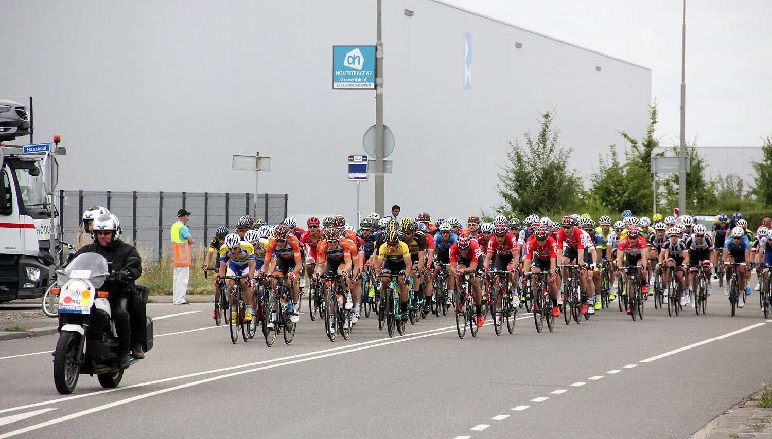 ster zlm 2017 in born