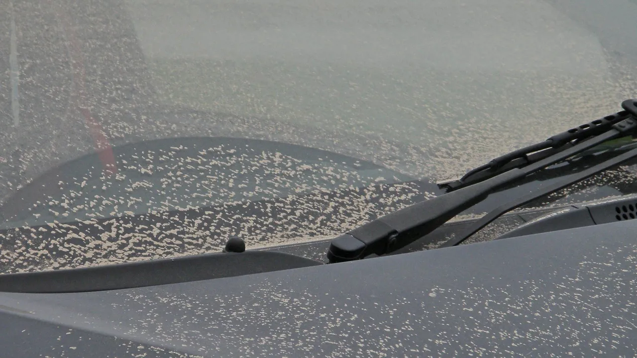 stoffige auto amanda slater cc by sa 20 via flickr 7527359302 55e0c3bdde k