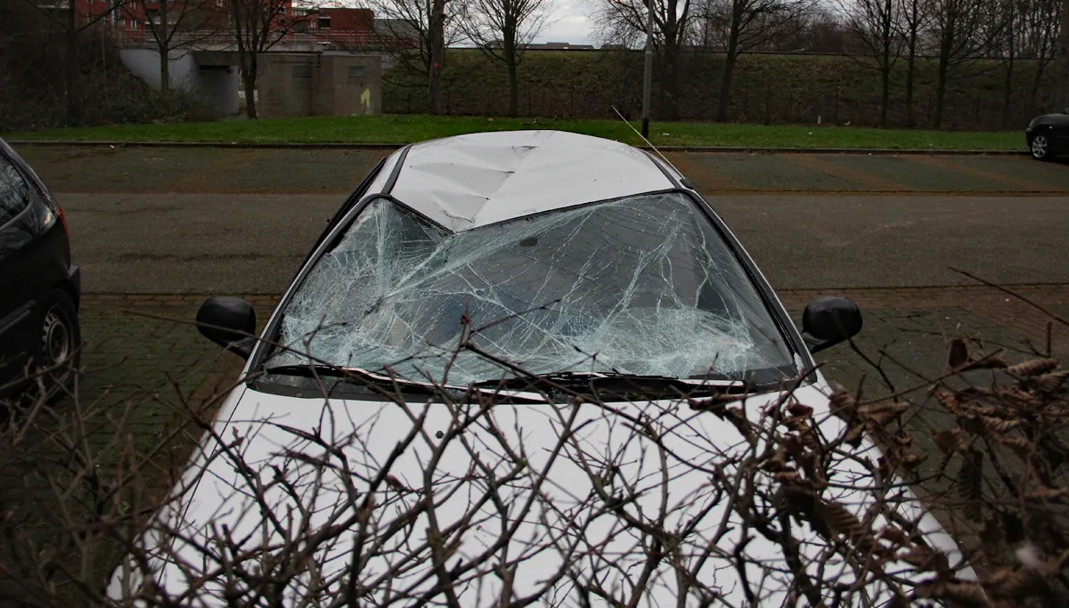 storm 18 januari eisenhowerstraat sittard 2