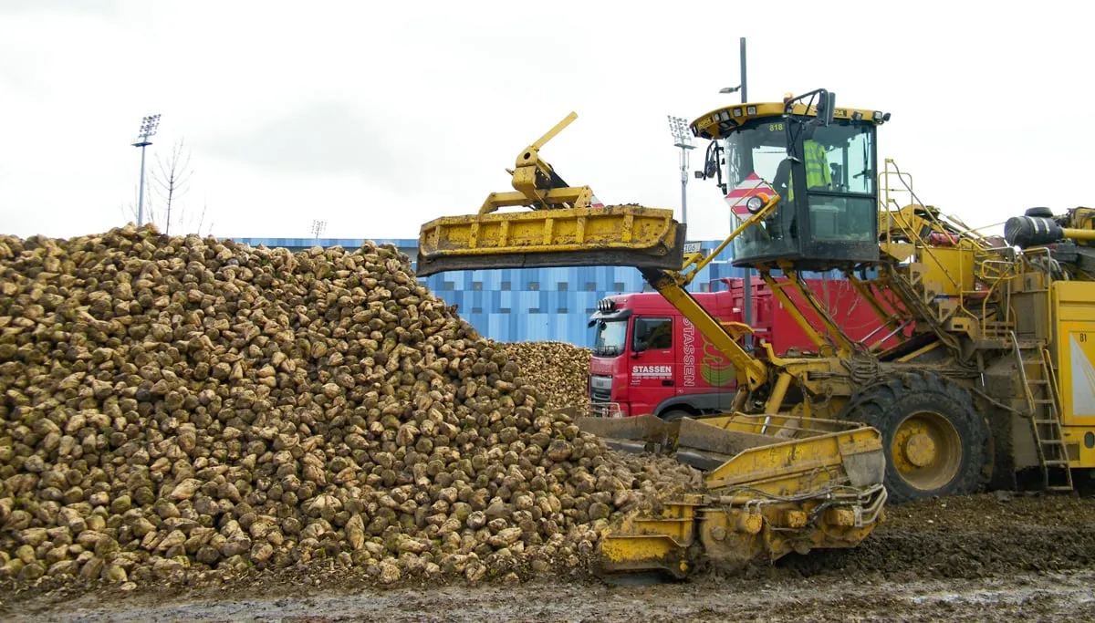 suikerbietencampagne 02