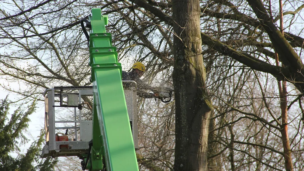 sxxuwg3kbwlpn6lmxmxlmaj1x beatrixlaan geleen 2