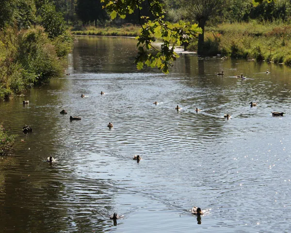 sz7pmbo5lfxd49fks16ap7dj6 173047