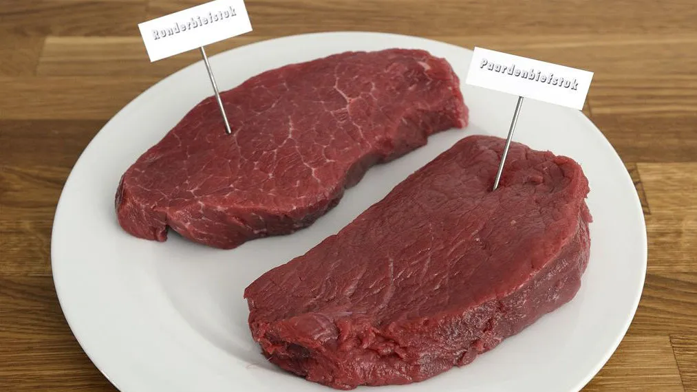 t1iajr6v6dfqxa2td3rauf0fz anp 102422544707