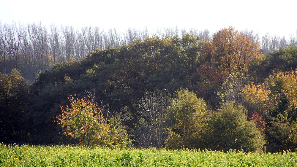 t31c9z392ymnnsvq0u4wj4nck mooie 2e november 2014 kollenberg tomel