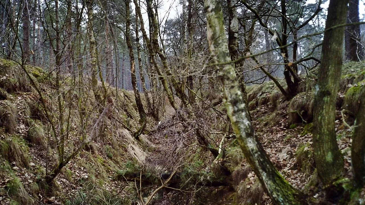 tankgracht in de meinweg foto hiker en foret cc by sa 30 via wikimedia