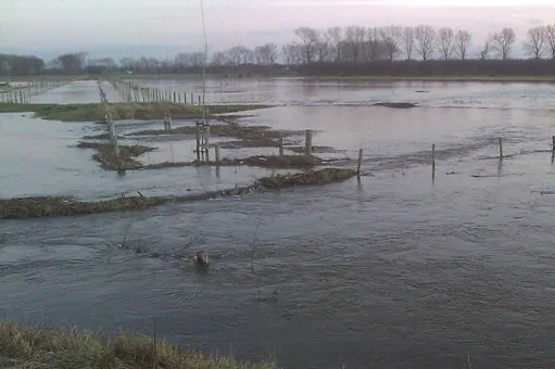 tbcg9jiuts0ro8a972f3vx9w7 179651