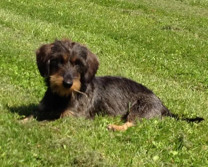 td0d5ags3z1h6w4o3ha4hoftd 181869