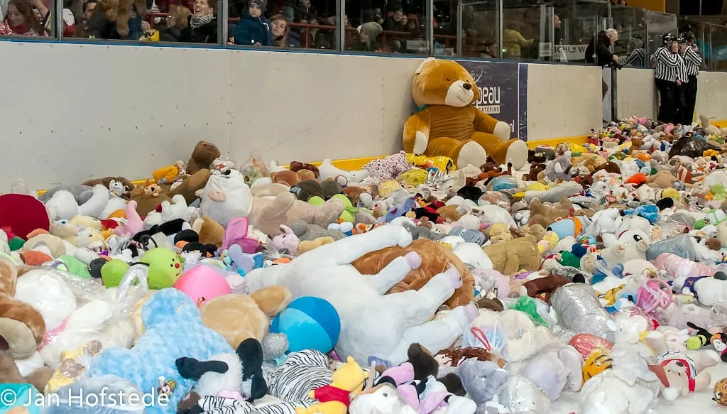 teddy bear toss 2016 1