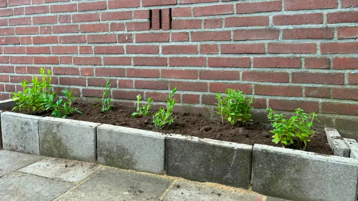 tegelwippen in sittard met geveltuintjes