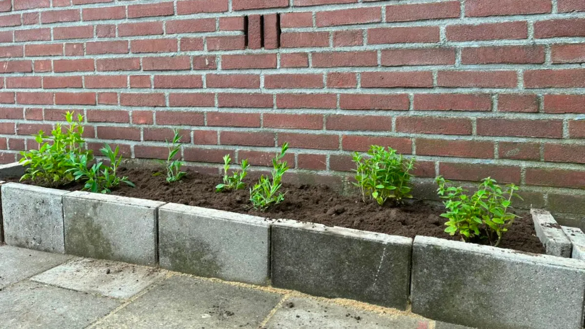 tegelwippen in sittard met geveltuintjes