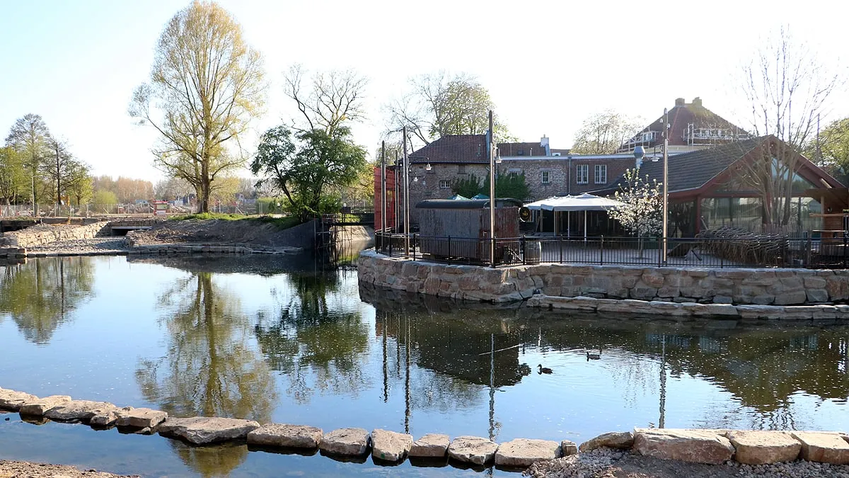 terras vief heringe 2