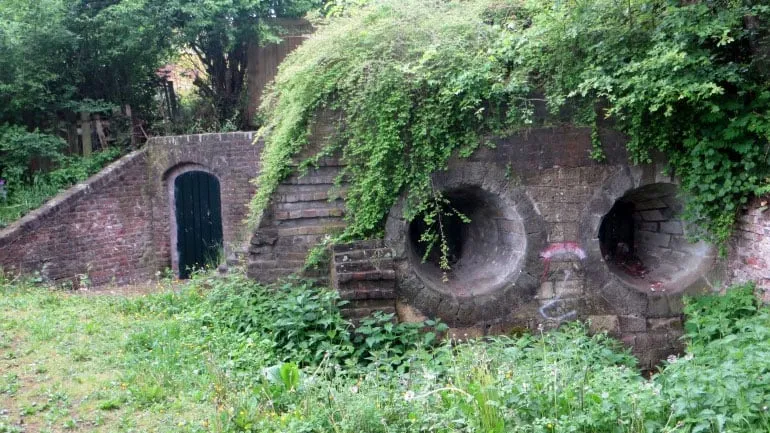 thctr34cdph3pld7vaqqjhgi6 fort sanderbout