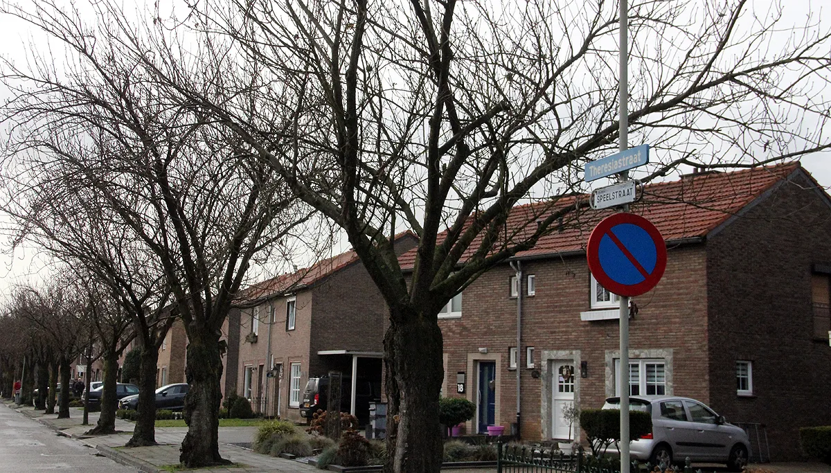 theresiastraat einighausen 1